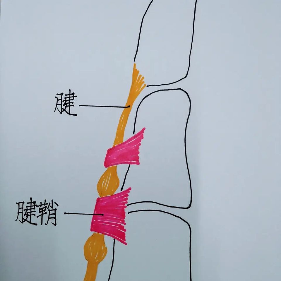 ご挨拶